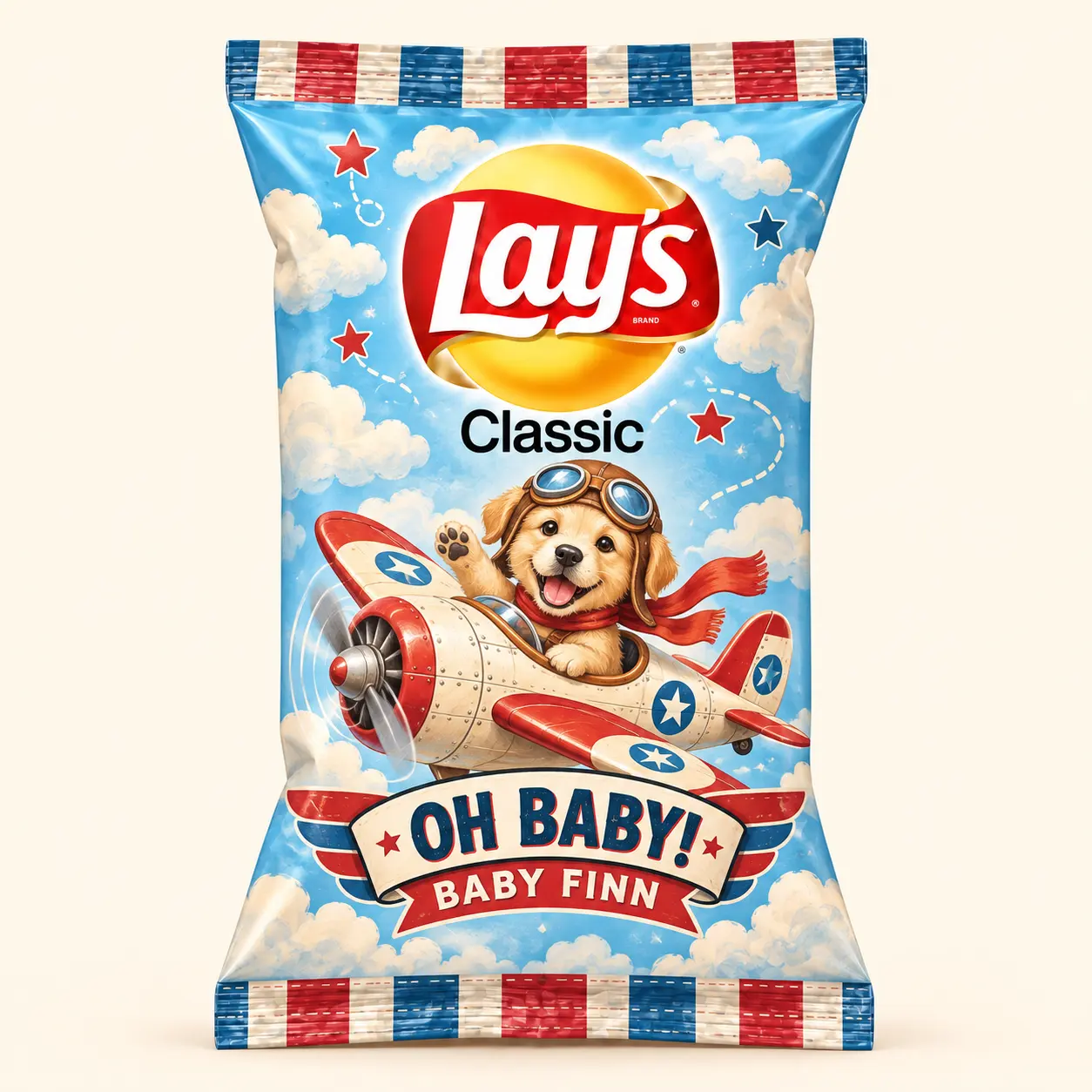 Aviator puppy baby shower Lay’s bag